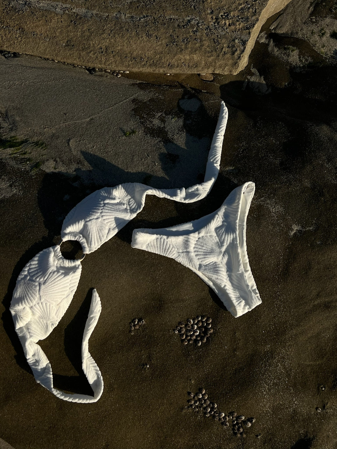 Shell Kissed Bikini Bottom