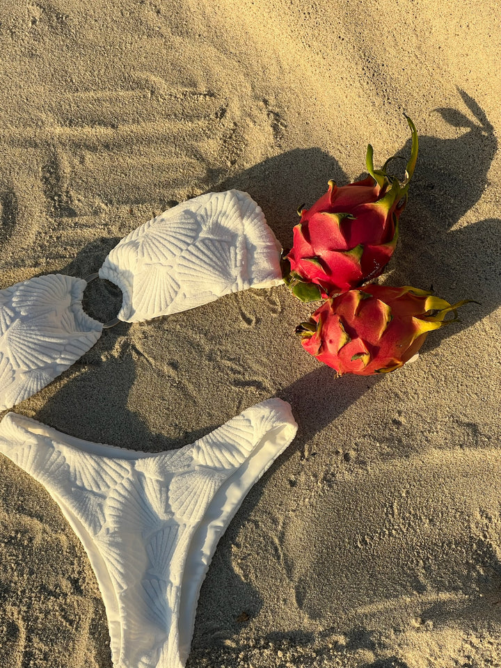 Shell Kissed Bikini Bottom