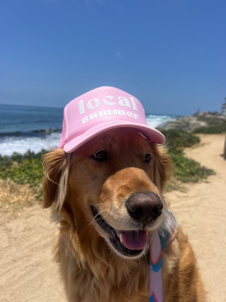 Local Summer Trucker